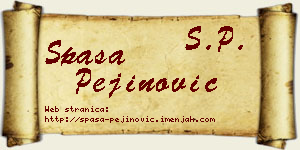 Spasa Pejinović vizit kartica